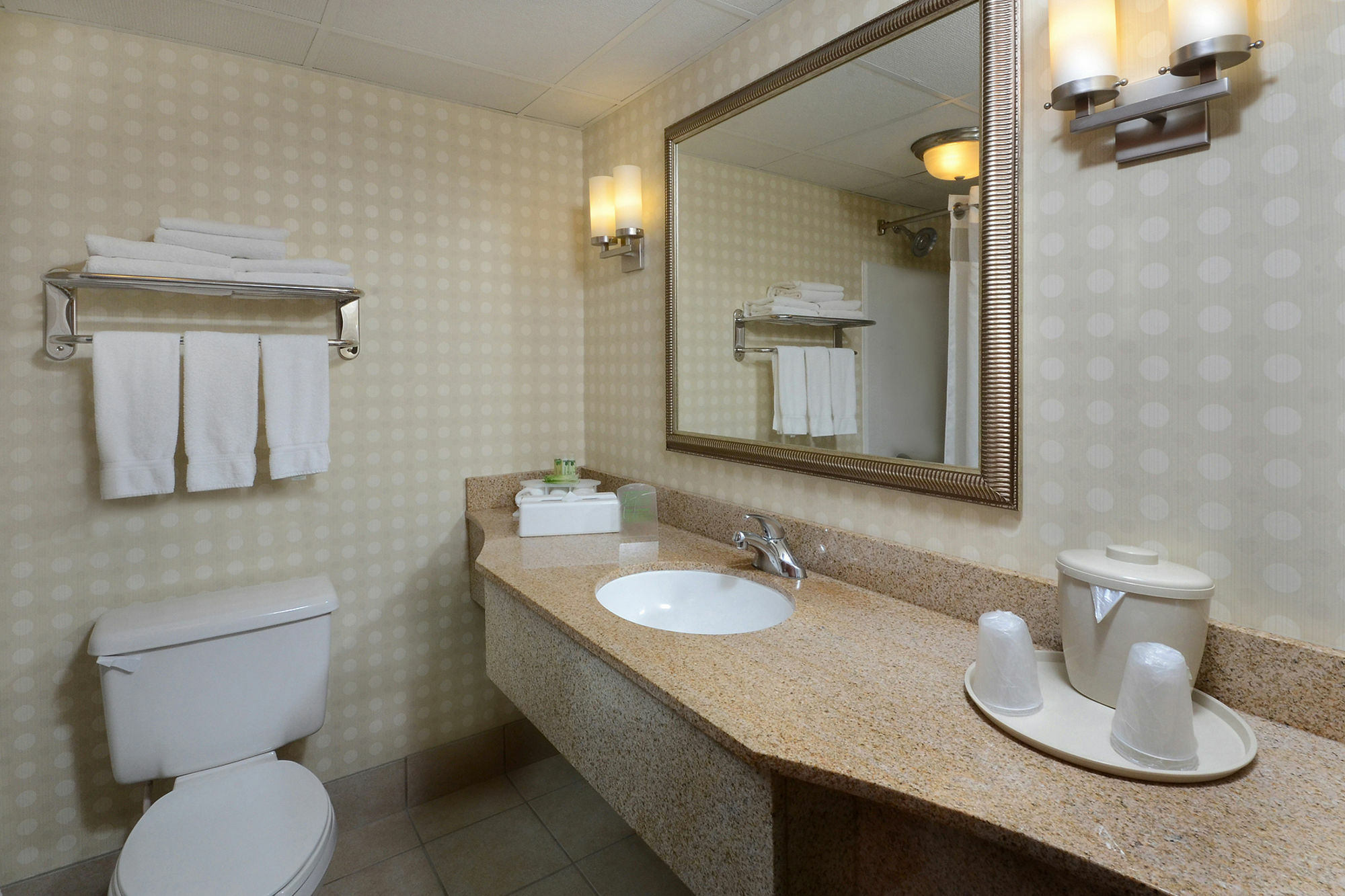 Holiday Inn Express Hotel & Suites Greensboro - Airport Area By Ihg Exterior foto